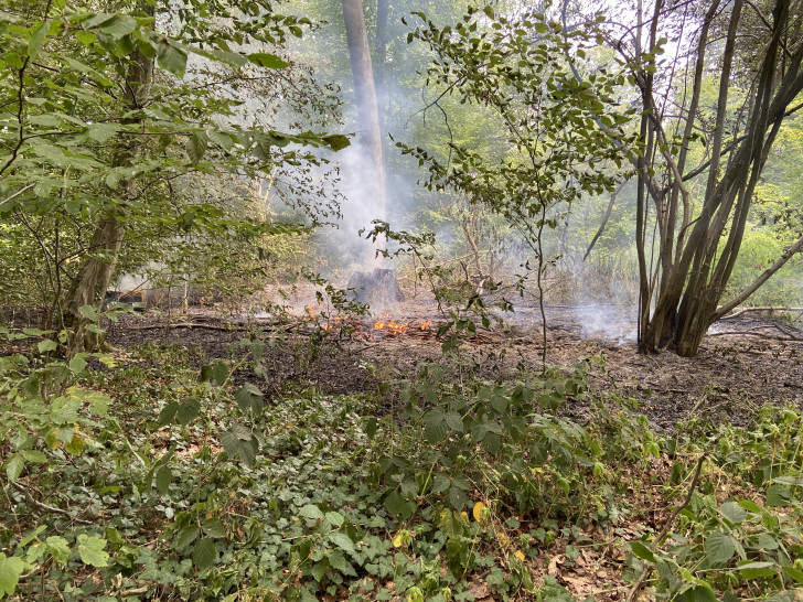 In Wolfsburg brannten etwa 100 Quadratmeter Waldfläche.