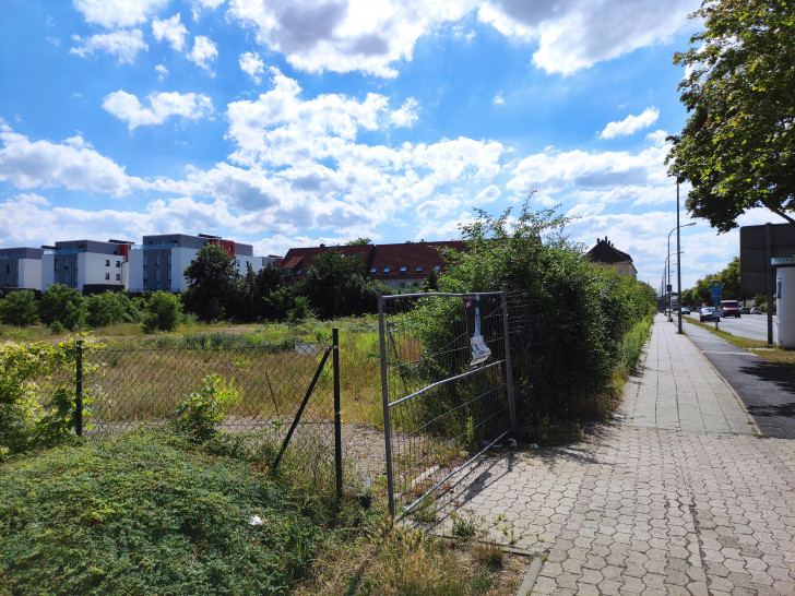 Hier an der Adersheimer Straße soll das neue Senioren-Wohngebiet entstehen, durch das die Anton-Wilhelm-Amo-Straße verlaufen soll.