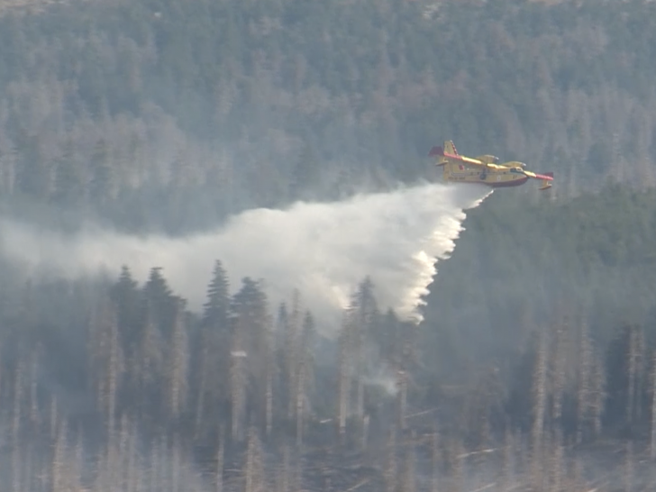 Zwei italienische Löschflugzeuge haben die Brandbekämpfung aus der Luft übernommen.
