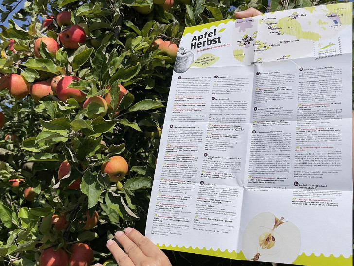 Ein Flyer informiert über die Veranstaltungen zum "Apfelherbst".