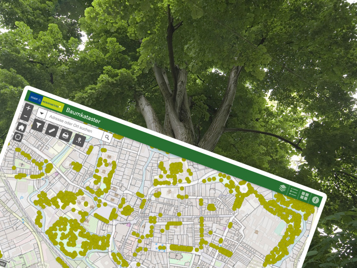 Auf einer Stadtkarte kann man genau sehen, wo welcher öffentliche Baum steht.