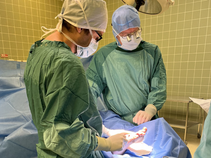 Ärzte der Gefäßchirurgie der Helios St. Marienberg Klinik Helmstedt während einer Operation, bei der Fischhaut zur verbesserten Wundheilung eingesetzt wird. 