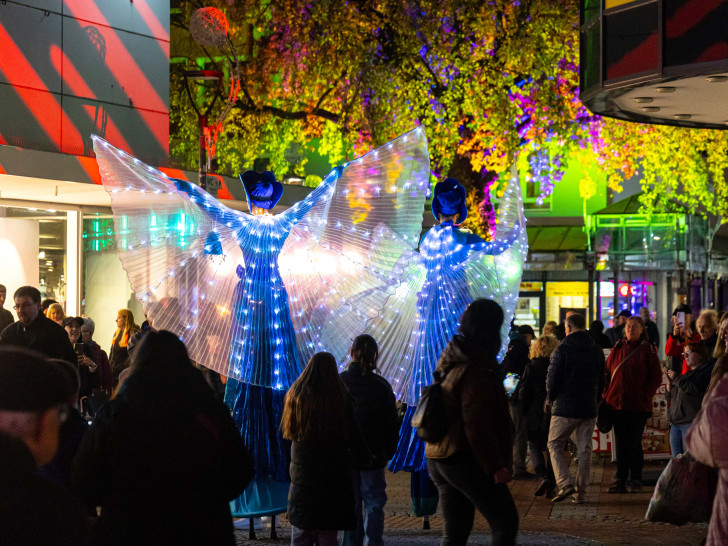 Archivbild einer früheren Ausgabe von Light The Night in Salzgitter.