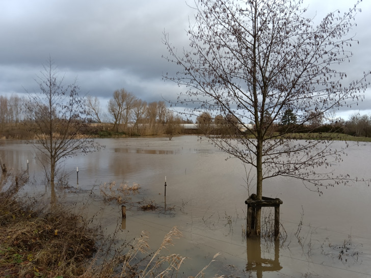 Auch die Schunter sorgt im Osten Braunschweigs für überschwemmte Gebiete.