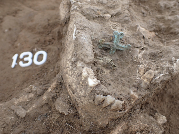 Bei diesen menschlichen Überresten handelt es sich um das Skelett eines Kindes. Die Forscher fanden ein bronzenes Kreuz in dessen Rachenraum, das dem Leichnam scheinbar auf die Zunge gelegt wurde.