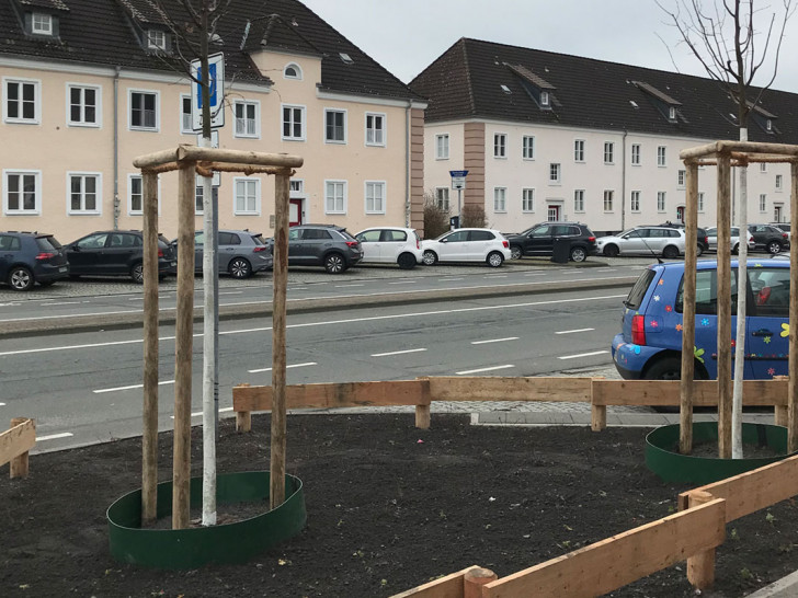 Eine der neuen Baumpflanzungen in der Goethestraße.