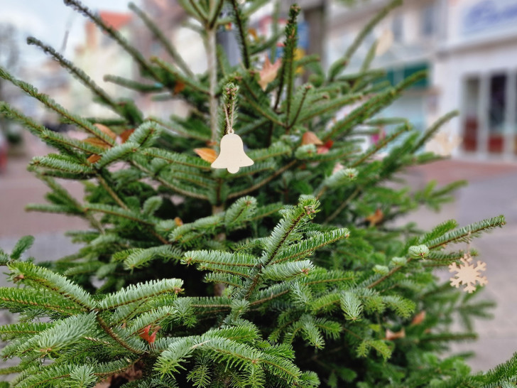 Grüne Tanne für den guten Zweck: Die Tannenbäume der Weihnachtsstadt Peine werden gegen eine freiwillige Spende für den Kinderschutzbund abgegeben.