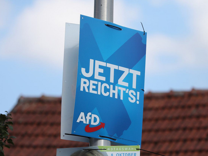 AfD-Wahlplakat (Archiv)