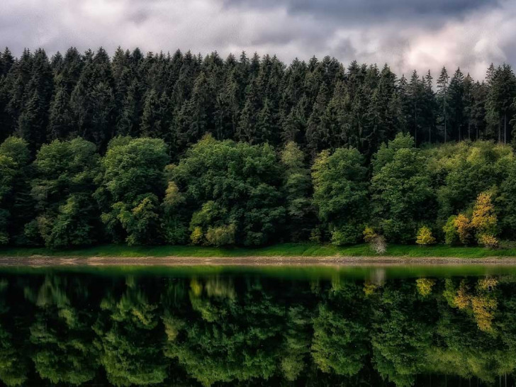 Der Harz gehört zu den Tourismus-Destinationen in unserer Region (Symbolfoto).