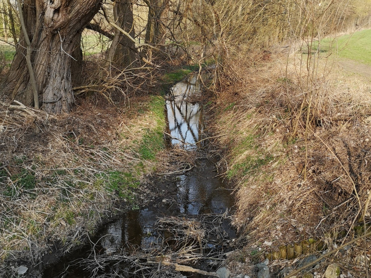 Der Fuhsekanal bei Groß Gleidingen sollte einst Oker und Fuhse verbinden, wurde aber nie fertiggestellt.