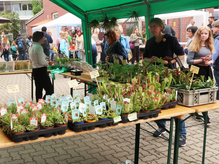 Auf dem Markt finden Besucher zahlreiche Pflanzen. (Archiv)