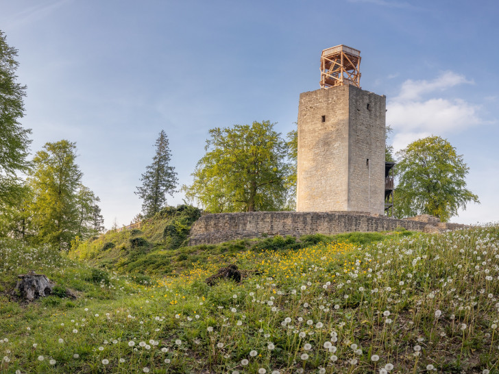 Der  „Tag des offenen Denkmals“ findet am 9. und 10. September statt.