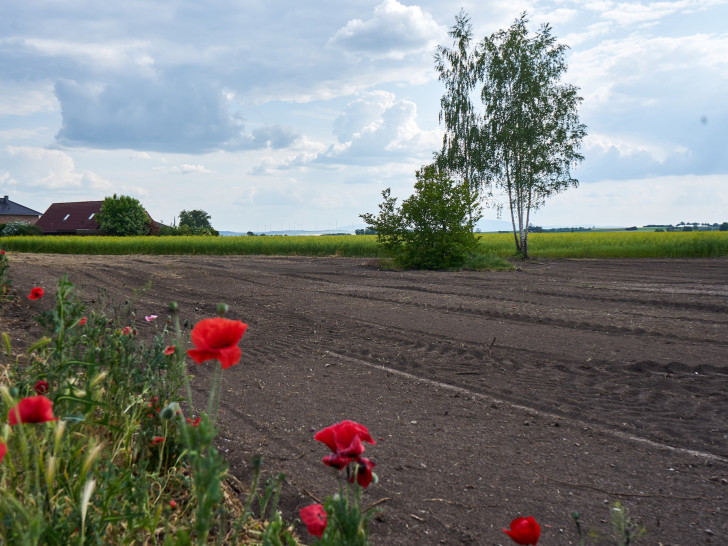 Am Südrand von Söllingen wird der Naturerlebnisgarten entwickelt.