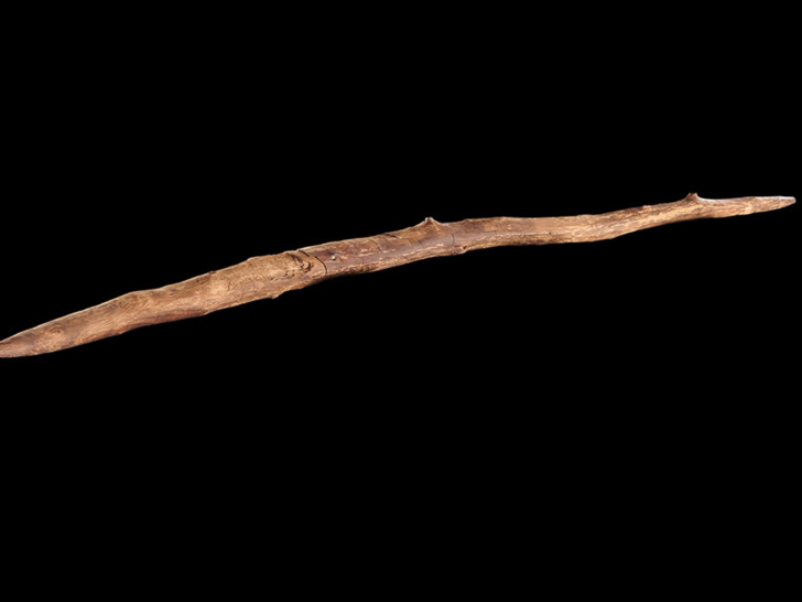 Das beidendig angespitzte Exemplar ist ein meisterhaft gefertigtes Wurfholz, das 1994 im Braunkohletagbeau Schöningen entdeckt wurde.