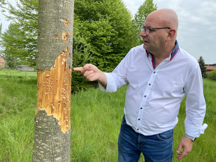 Auch die Rinde dieses jungen Baumes im Ortsteil Fümmelse wurde beschädigt. Ortsbürgermeister Marc Angerstein ist verärgert.