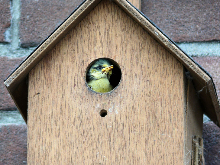 Symbolfoto.