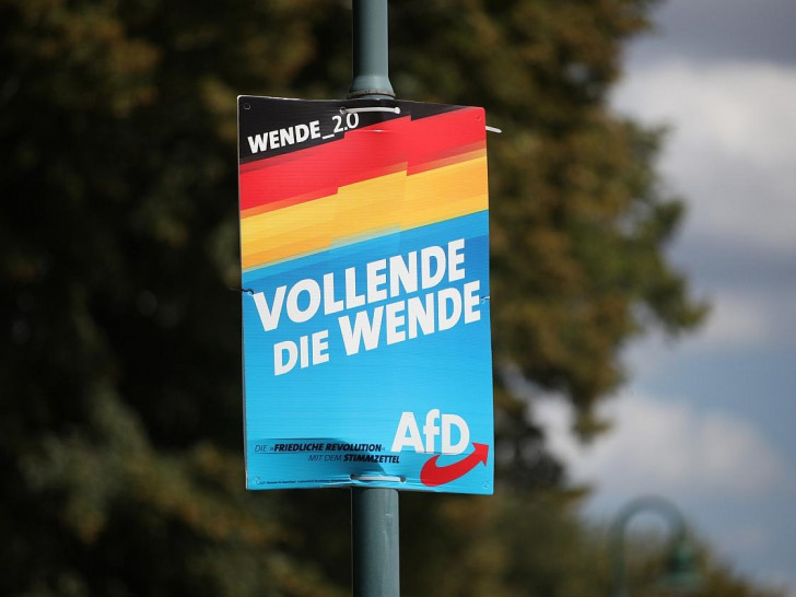 AfD-Plakat (Archiv)