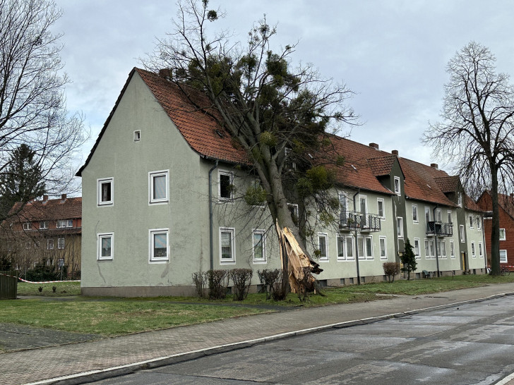 Ein Baum ist auf ein Wohnhaus in Salzgitter gestürzt. 