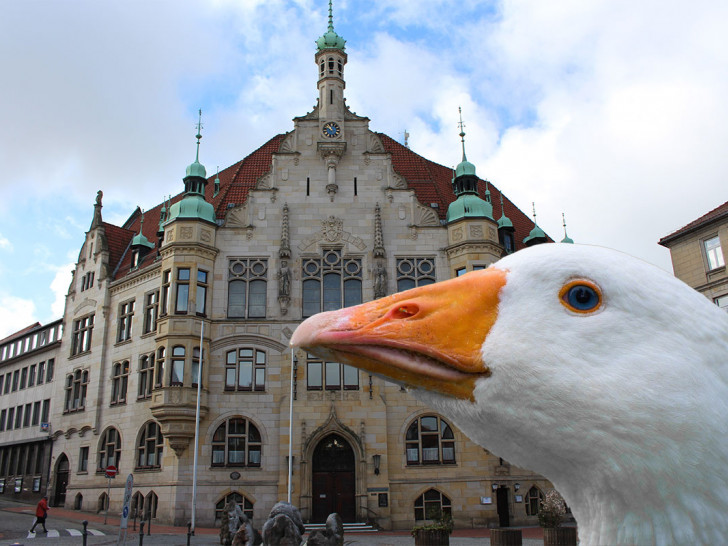 Auch in diesem Jahr findet wieder der traditionelle Helmstedter Gänsemarkt statt.