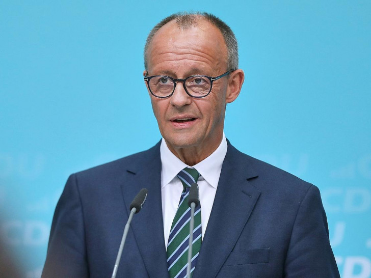 Friedrich Merz (Archiv)