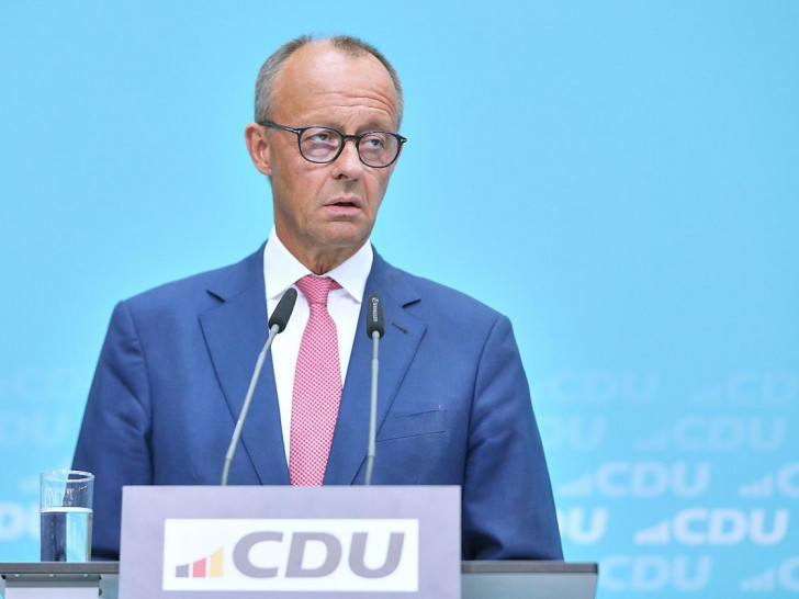 Friedrich Merz (Archiv)