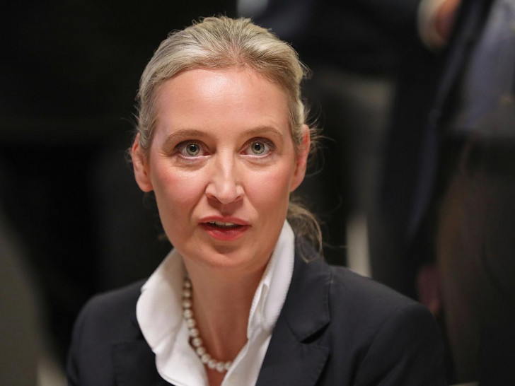 Alice Weidel (Archiv)