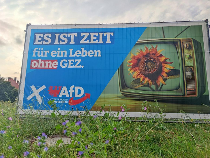 AfD-Wahlplakat zur Landtagswahl in Brandenburg (Archiv)