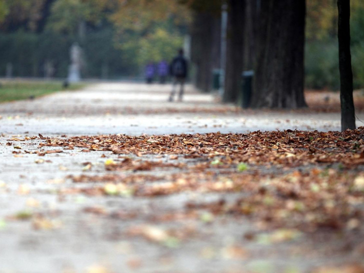 Herbstblätter in einem Park (Archiv)