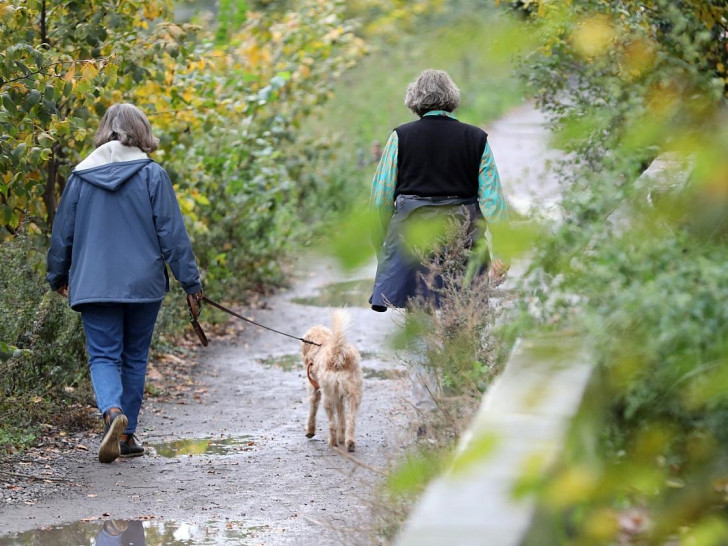 Zwei Frauen gehen mit einem Hund Gassi (Archiv)