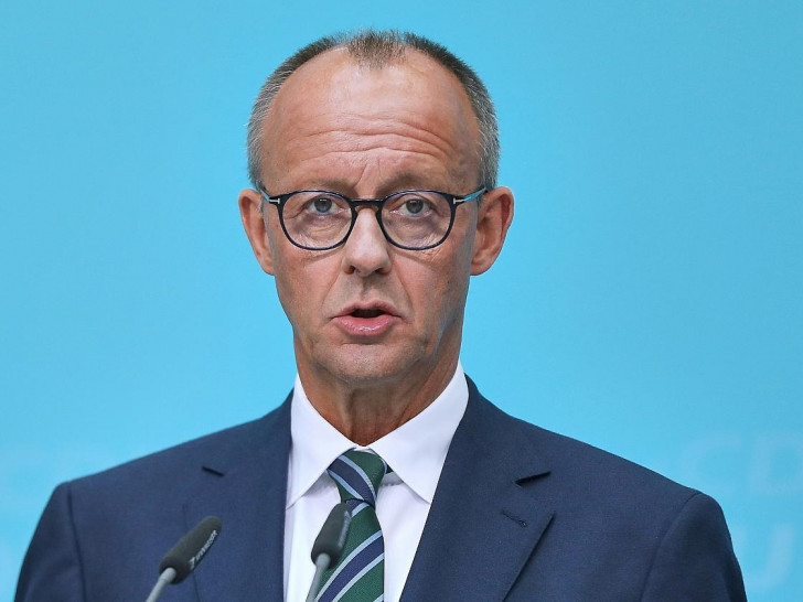 Friedrich Merz (Archiv)