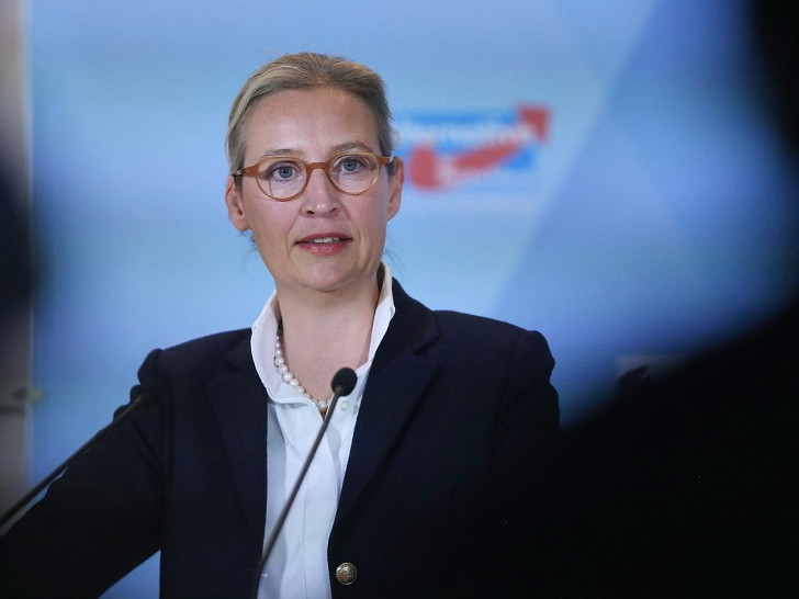 Alice Weidel am 07.11.2024