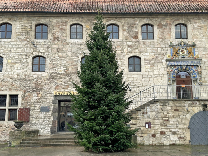 Der Weihnachtsbaum präsentiert auf dem Altstadtmarkt sein grünes Nadelkleid und sorgt für Vorfreude auf die Weihnachtszeit.