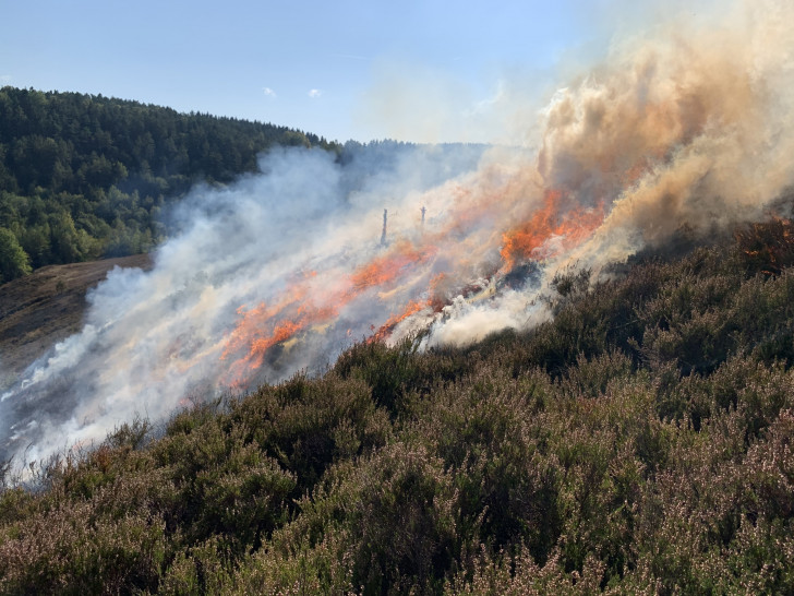 Brennen der Heide im Zellerfelder Tal: Im September dieses Jahres wurde auf den Heideflächen im Zellerfelder Tal als Pflegemaßnahme das sogenannte "Brennen" durchgeführt.