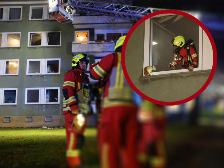 Auch die Drehleiter der Feuerwehr kam zum Einsatz.