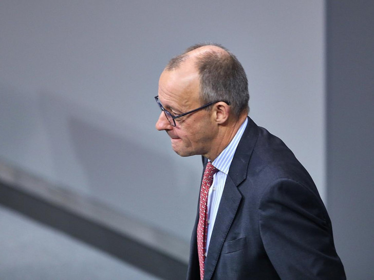 Friedrich Merz (Archiv)