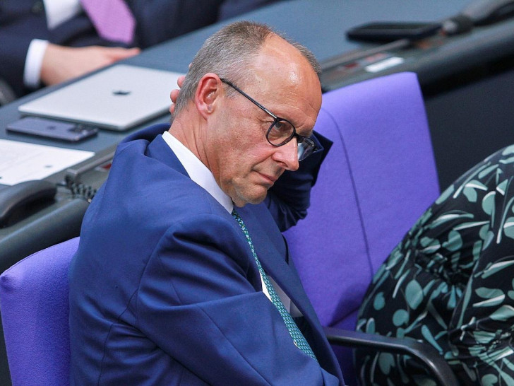 Friedrich Merz (Archiv)