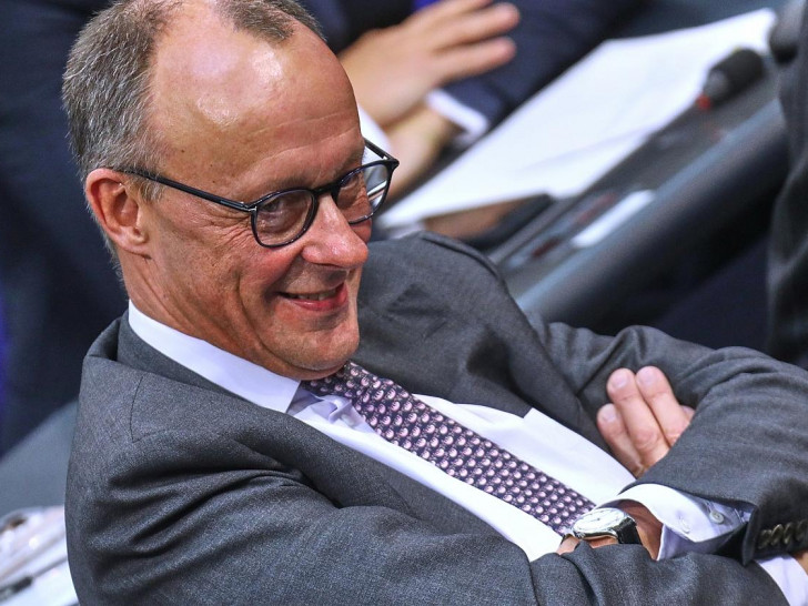 Friedrich Merz (Archiv)