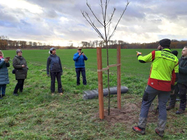 Teilnehmer am Waldbadekurs pflanzten eine Esskastanie.