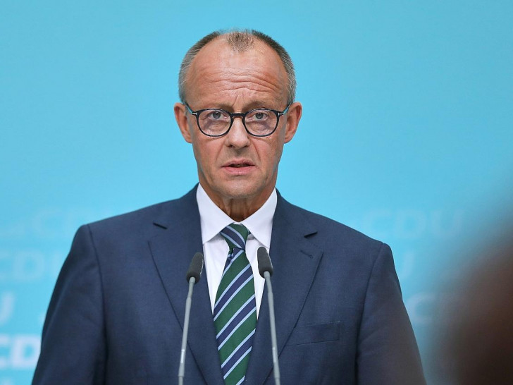 Friedrich Merz (Archiv)