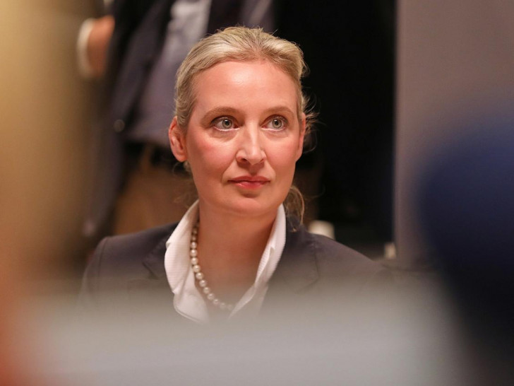 Alice Weidel (Archiv)