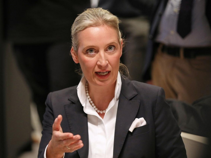 Alice Weidel (Archiv)