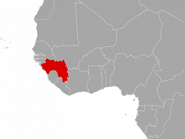 Guinea (Archiv)