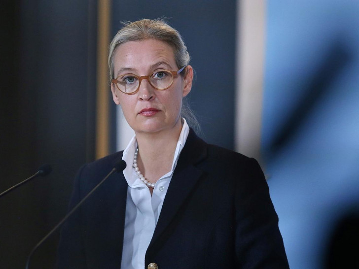 Alice Weidel (Archiv)