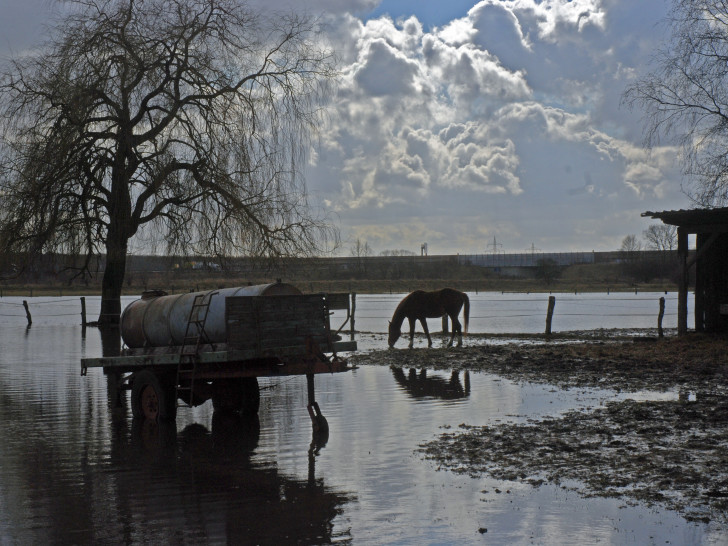 Hochwasser ist selten so idyllisch wie diese überfluteten Wiesen an Schunter in Braunschweig.