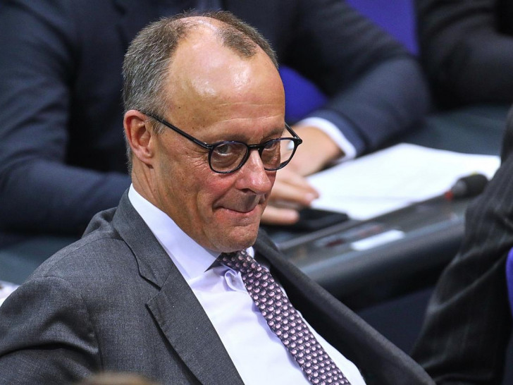 Friedrich Merz (Archiv)