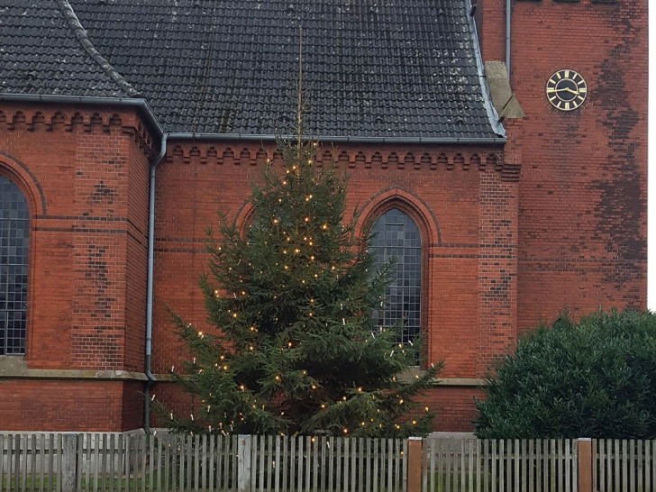 Der Baum steht nun direkt neben der Kirche in Sophiental.