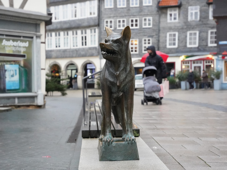 Der Wolf ist zurück in Wolfenbüttel. Die Bronze Skulptur wurde am 19. Dezember 2024 vor dem Löwentor errichtet.