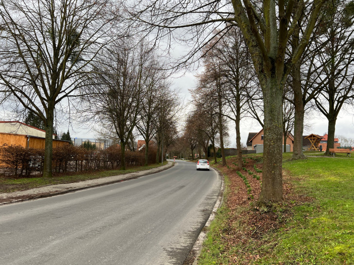 Die Lindenallee in Bilderlahe wird am 5. März zeitweise voll gesperrt.