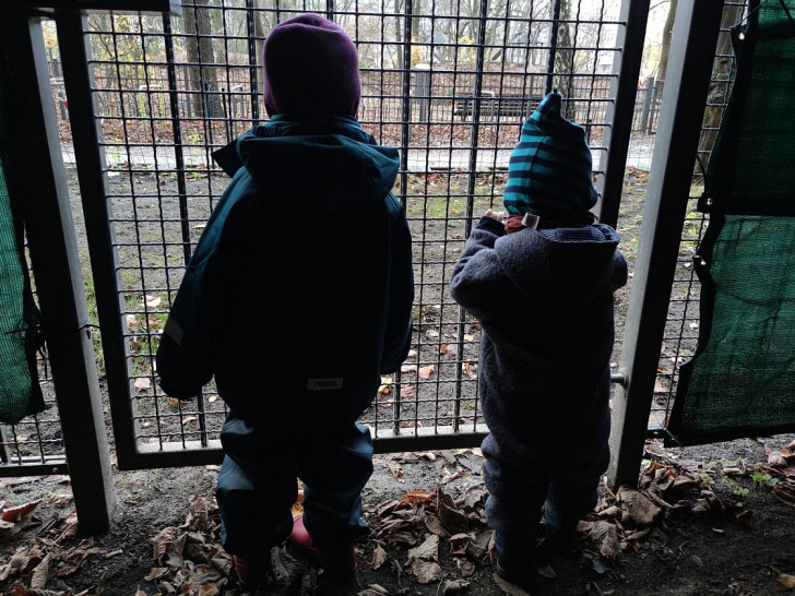 Kinder hinter einem Gitter (Archiv)