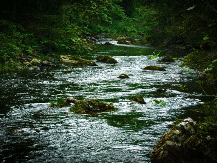 Die Oker entspringt dem Harz und läuft dann quer durchs Harzer Vorland. Bei Müden mündet sie in der Aller.